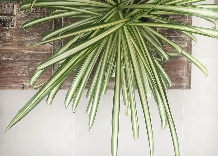 Casita Blanca Cerca De Timanfaya