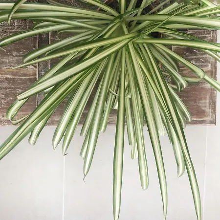 Casita Blanca Cerca De Timanfaya